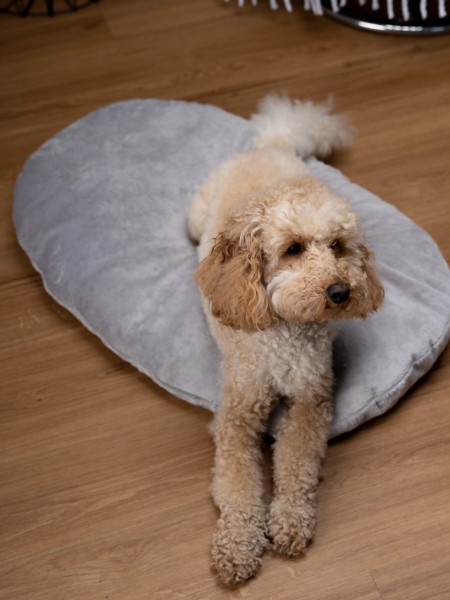 Liegekissen Emma grau