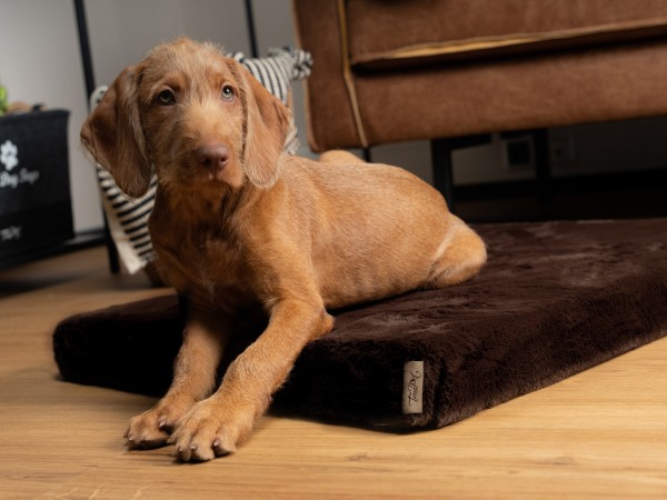 VitaMedog Braun - Orthopädische 7 cm Matratze