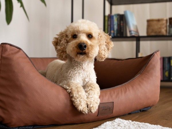 Runa Kupfer, Kunstlederbett - SET, 2 Größen