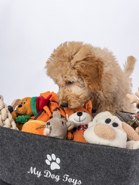My Dog Toys Spielzeugkörbchen
