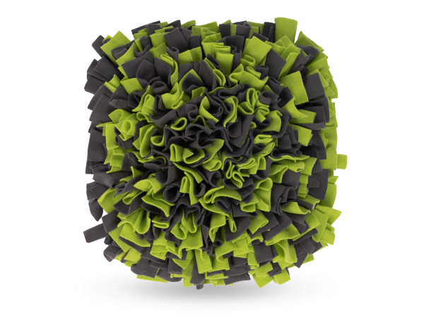 Schnüffelteppich grün