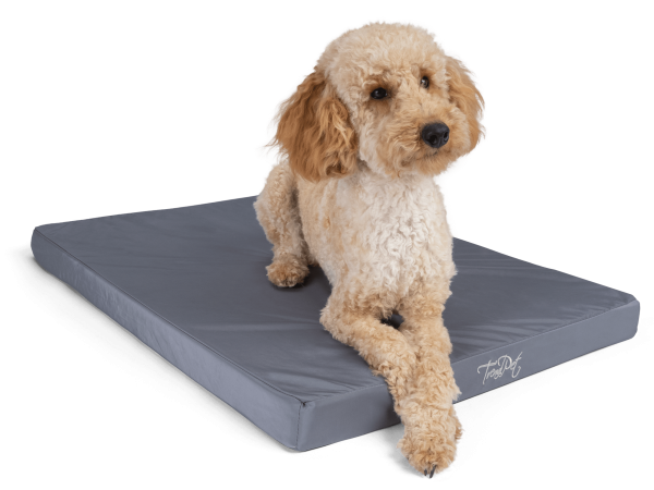 VitaMedog Wet - Wasserabweisende orthopädische 5cm Matratze