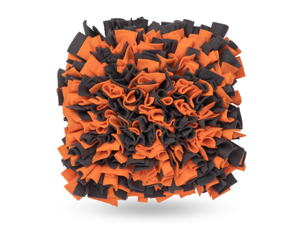 Schnüffelteppich orange