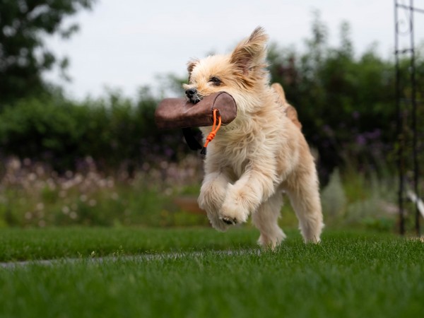 SET Kurt Futterdummy braun