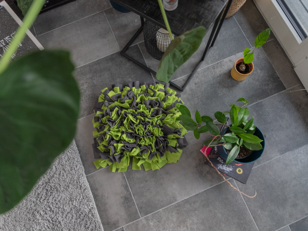 Schnüffelteppich grün