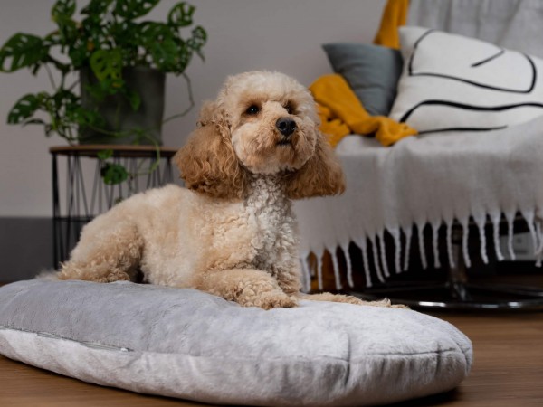 Liegekissen Emma grau