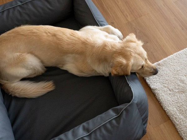 Runa Grau, Kunstlederbett - SET, 2 Größen