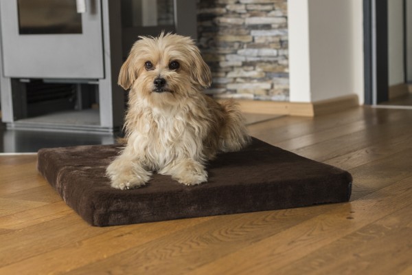 VitaMedog Braun - Orthopädische 5cm Matratze