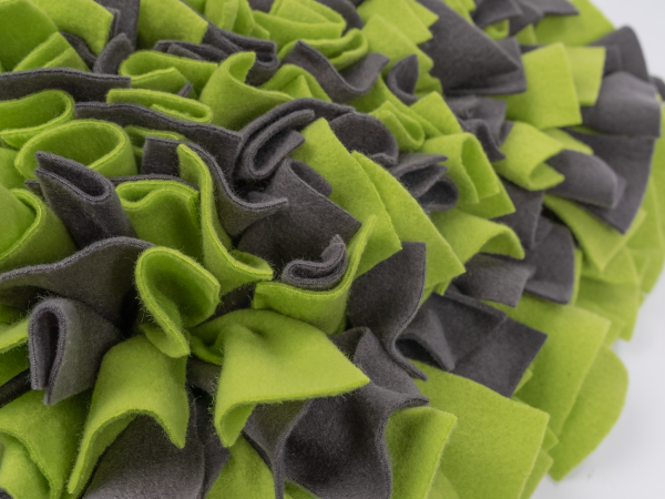 Schnüffelteppich grün