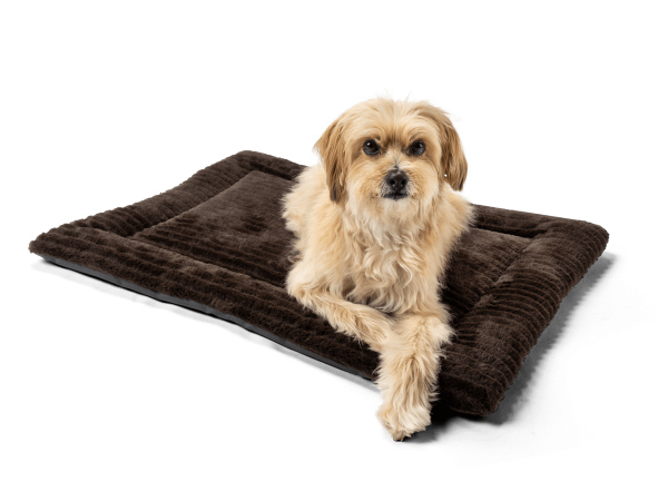 Harmony Flex braun SET