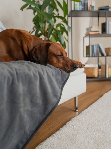 Pearl - wasserdichte Decke