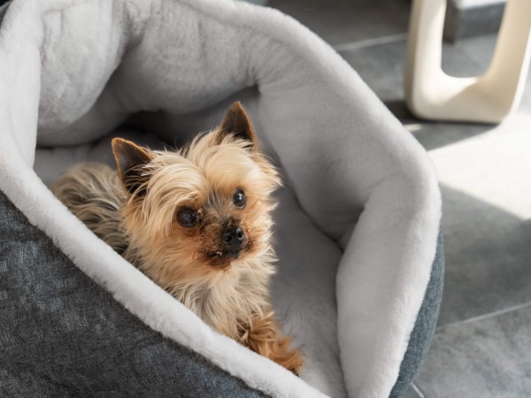 LunaNest - Kuscheliges Nest