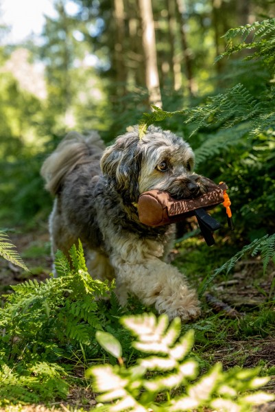 Kurt Futterdummy braun