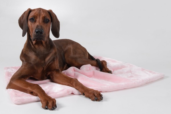 Coco - Kuscheldecke rosa