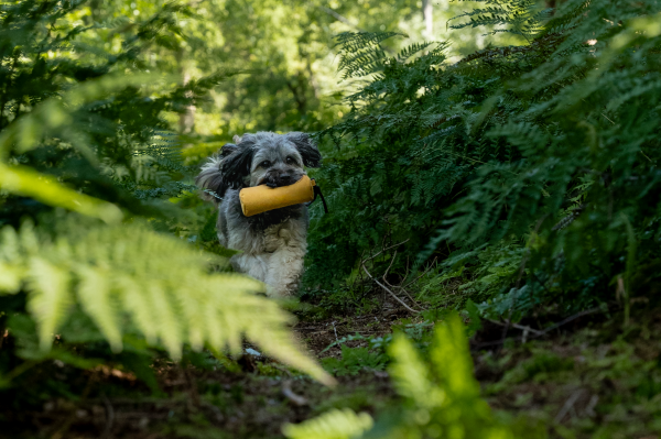 Kurt Futterdummy gelb