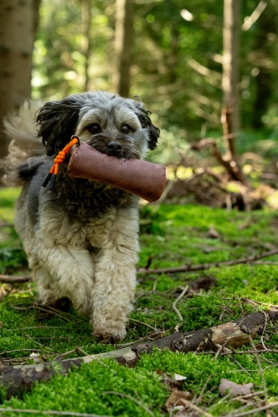 SET Kurt Futterdummy braun