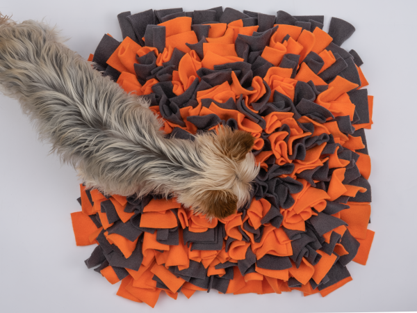 Schnüffelteppich orange