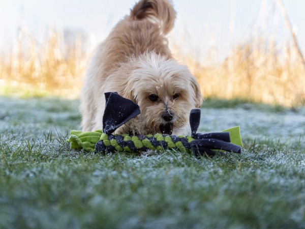 Bringsel - Wurf- und Apportierspielzeug