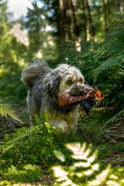 SET Kurt Futterdummy braun