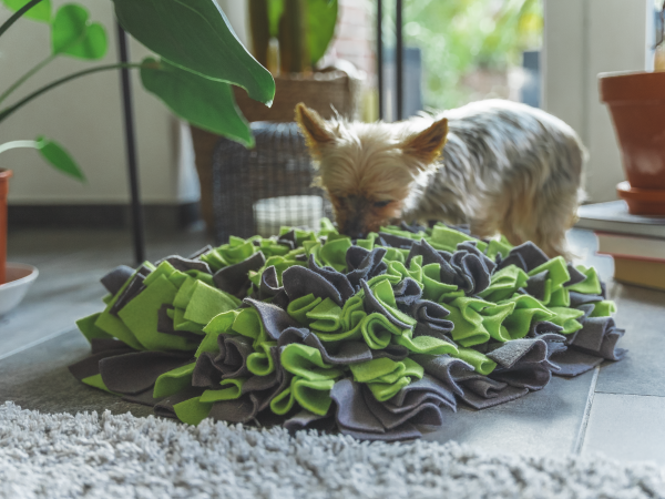Schnüffelteppich grün