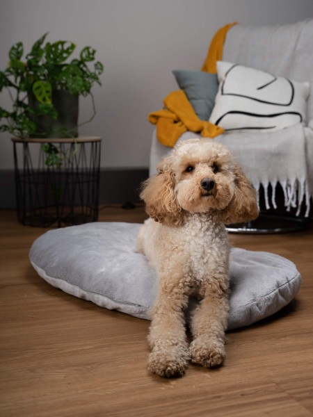 Liegekissen Emma grau