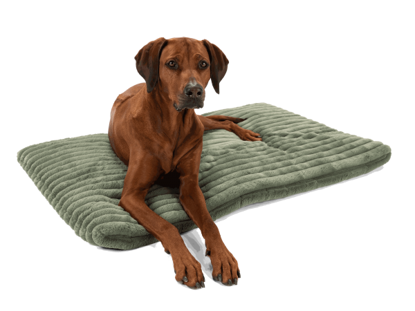 Mora - gefütterte Matte