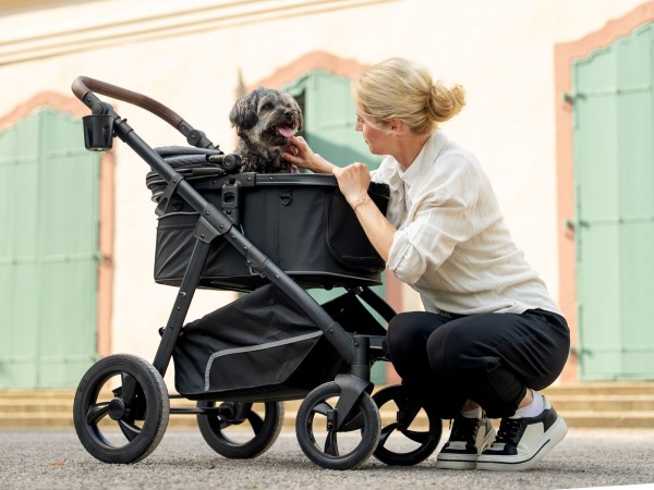 Walk Hundebuggy