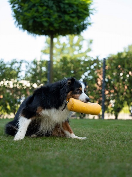 Kurt Futterdummy gelb