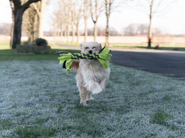 Bringsel - Wurf- und Apportierspielzeug
