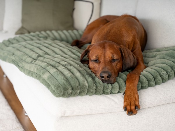 Mora - gefütterte Matte