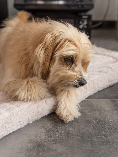 Harmony creme Kuscheldecke