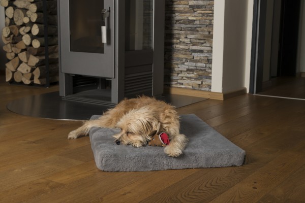 VitaMedog Grau - Orthopädische 5cm Matratze