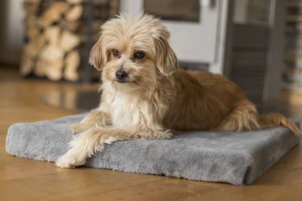 VitaMedog Grau - Orthopädische 5cm Matratze