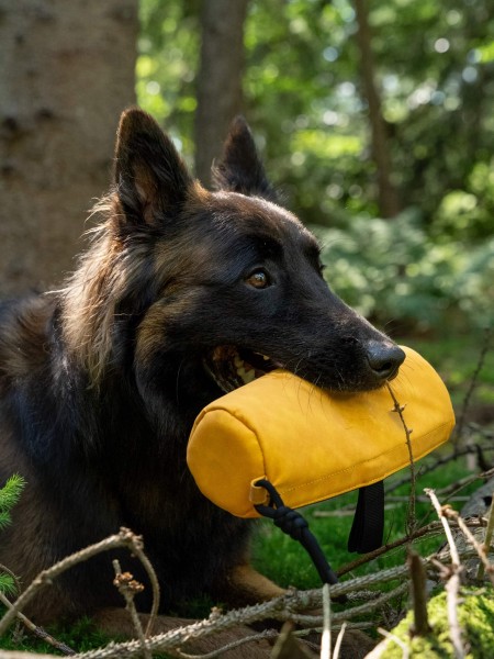 Kurt Futterdummy gelb