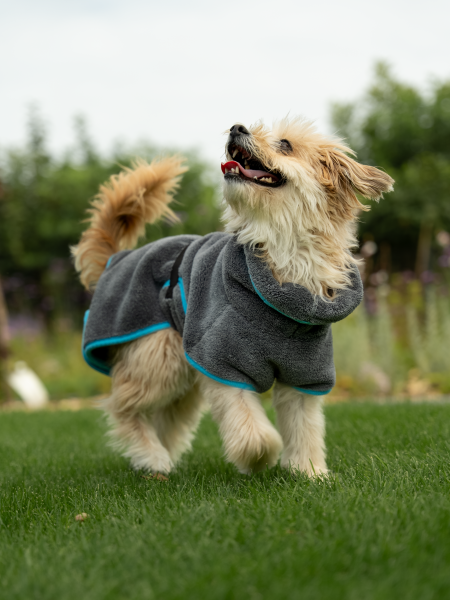 SET Dampfhund Bademantel