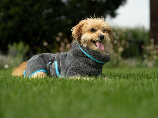 SET Dampfhund Bademantel