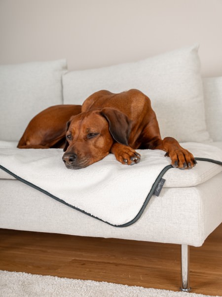 Pearl - wasserdichte Decke