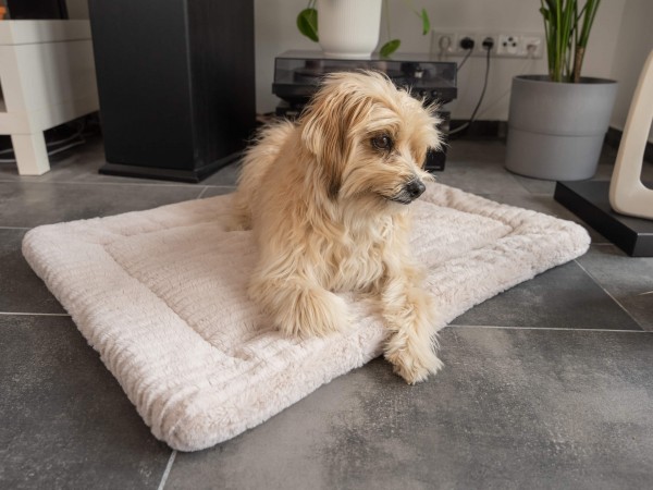 Harmony creme Kuscheldecke