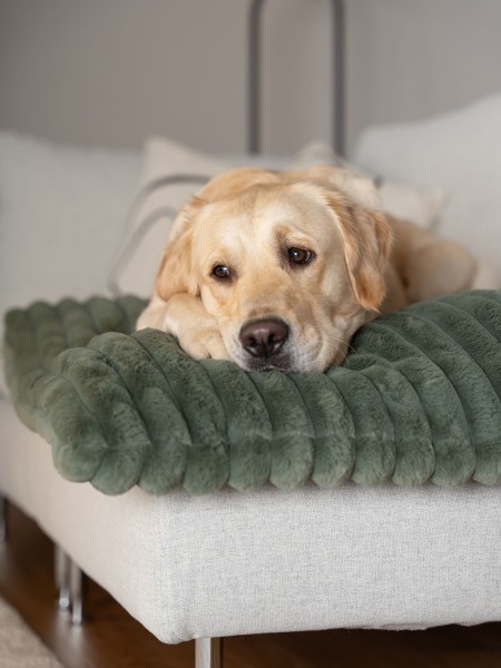 Mora - gefütterte Matte