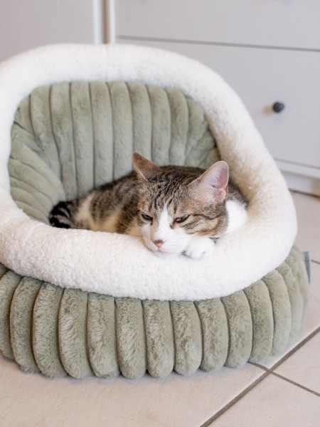 Yuki - Hunde- & Katzenbett