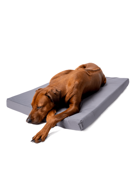 VitaMedog Wet - Wasserabweisende, orthopädische 7 cm Matratze