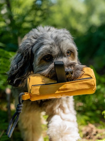 Kurt Futterdummy gelb