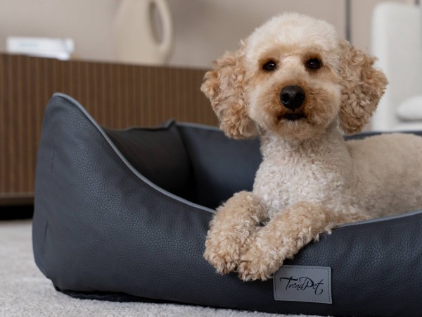 Runa Grau, Kunstlederbett - SET, 2 Größen