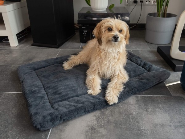 Harmony anthrazit Kuscheldecke