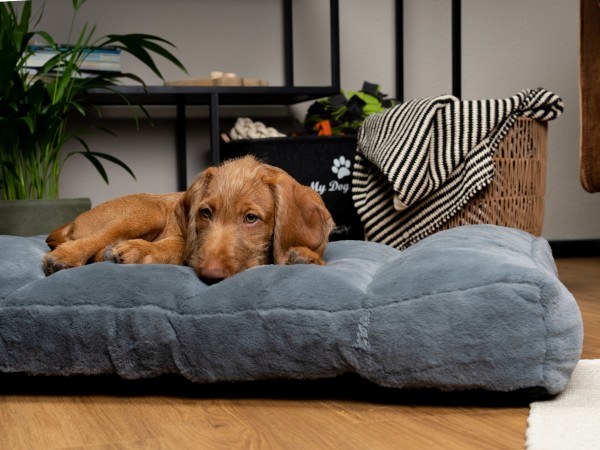 Maya Ortho Hundebett