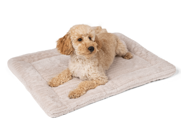 Harmony creme Kuscheldecke