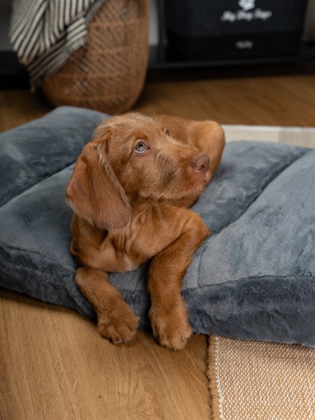 Maya Ortho Hundebett