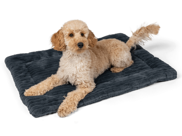 Harmony anthrazit Kuscheldecke