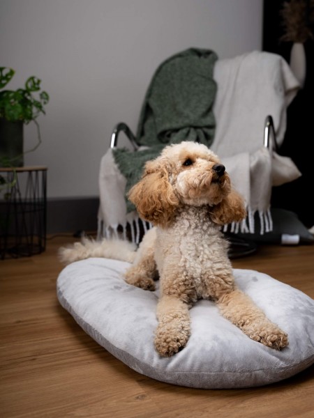 Liegekissen Emma grau