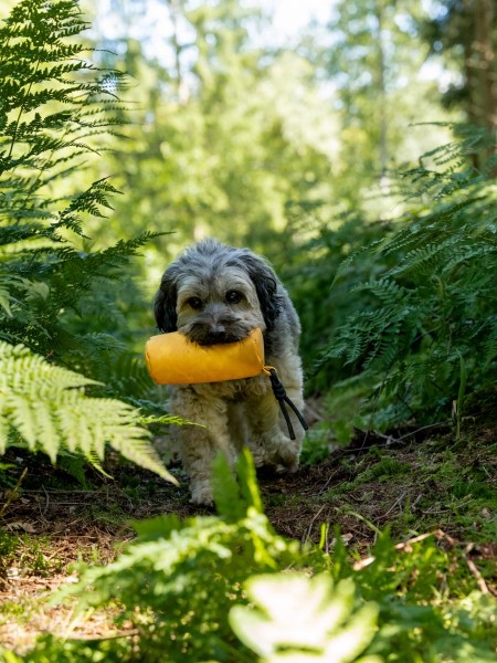 Kurt Futterdummy gelb